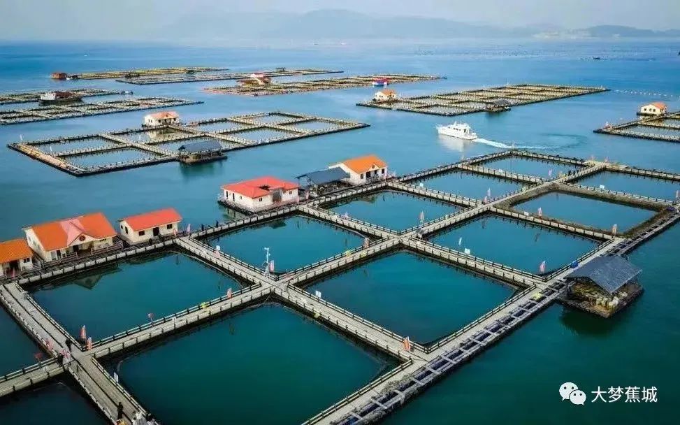 2022“山海宁德 黄鱼之都”城市IP征集大赛(图1)