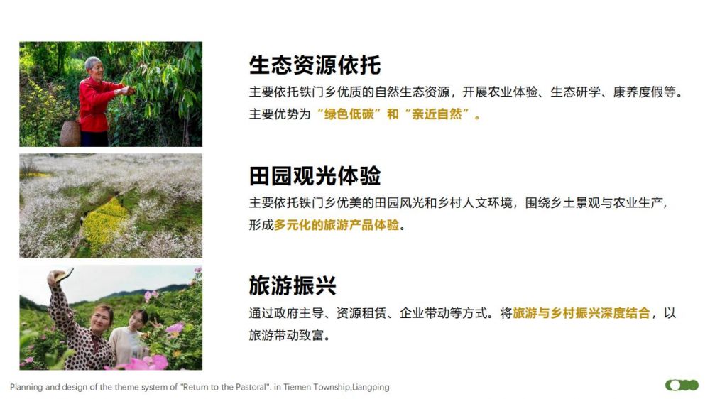 C0091地域IP系统设计赋能乡村振兴_15.jpg
